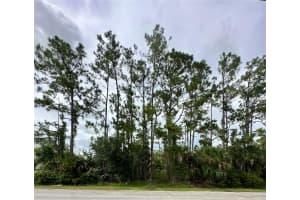 Lot 16 DONATELLO AVENUE, NORTH PORT, FL 34286 - MLS#MFRA4661601