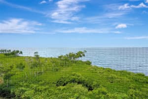 87 VIVANTE BOULEVARD, PUNTA GORDA, FL 33950 - MLS#MFRA4661725