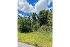 CONSTITUTION DR, NORTH PORT, FL 34291 - MLS#MFRA4661795