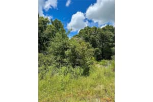 CONSTITUTION DR, NORTH PORT, FL 34291 - MLS#MFRA4661795