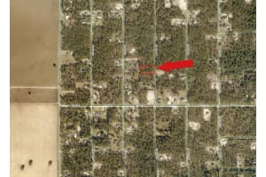SW 136TH TER, DUNNELLON, FL 34432 - MLS#MFRA4661914