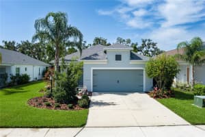 10929 Sand Pine Ln, PARRISH