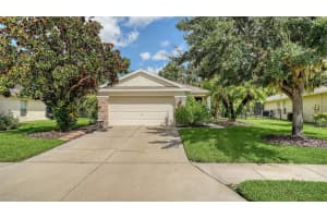 9807 50th Street Cir E, PARRISH