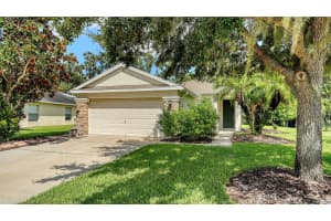 9807 50TH STREET CIRCLE, PARRISH, FL 34219 - MLS#MFRA4662032