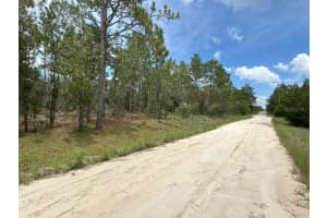 lot 6 152ND COURT, WILLISTON, FL 32696 - MLS#MFRA4662072
