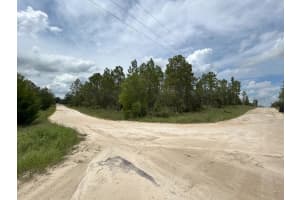 lot 6 152ND COURT, WILLISTON, FL 32696 - MLS#MFRA4662072