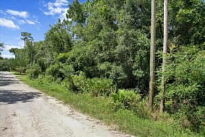 1420 HIGHCLIFF POINT, HOMOSASSA, FL 34448 - MLS#MFRA4662115