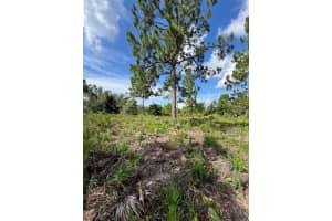 2146 WESTWIND STREET, PORT CHARLOTTE, FL 33953 - MLS#MFRA4662132