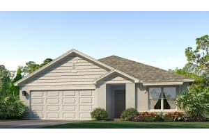 4506 Weathered Moss Gln, PALMETTO