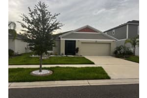 12634 Tannencrest Dr, RIVERVIEW