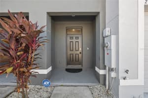 2884 EVERGREEN ELM PASS, WESLEY CHAPEL, FL 33543 - MLS#MFRA4662560