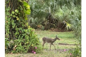 7907 BROWER DRIVE, BRADENTON, FL 34211 Sold 01/23/26