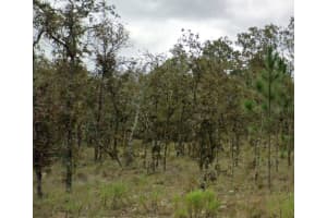 NE 11TH STREET ST, WILLISTON, FL 32696 - MLS#MFRA4662640