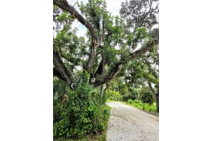 3401 51ST STREET, SARASOTA, FL 34235 - MLS#MFRA4662718