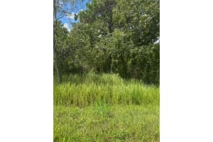 9007-0090-15 BAHIA PASS COURT, OCALA, FL 34471 - MLS#MFRA4662826