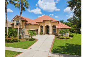 20115 Shady Hill Ln, TAMPA