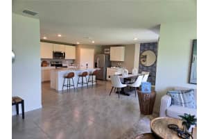 17213 WHEATBERRY BOULEVARD, PARRISH, FL 34219 - MLS#MFRA4662985