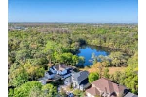 10818 TRIDITION LOOP, TAMPA, FL 33618 - MLS#MFRA4663003
