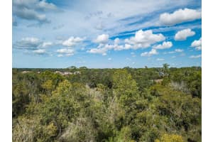 QUARTER HORSE RD, SARASOTA, FL 34241 - MLS#MFRA4663028