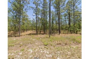 0 TBD WINDING HILLS ROAD, DUNNELLON, FL 34431 - MLS#MFRA4663082
