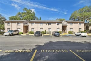 7504 Presley Pl #115 C, TAMPA
