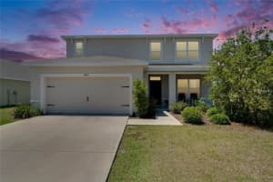 14153 Arbor Pines Dr, RIVERVIEW