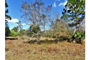 NOCTURN ST, NORTH PORT, FL 34288 - MLS#MFRA4663302