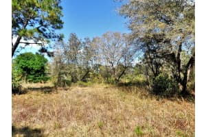 NOCTURN ST, NORTH PORT, FL 34288 - MLS#MFRA4663304