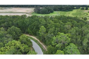 0 SW 168 LOOP LOT 10, OCALA, FL 34473 - MLS#MFRA4663352