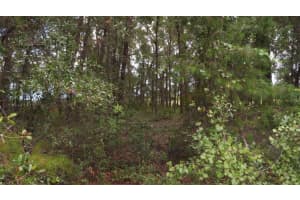 0 SW 168 LOOP LOT 10, OCALA, FL 34473 - MLS#MFRA4663352