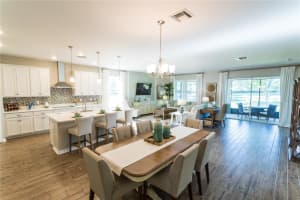 19717 FORT KING RUN, BROOKSVILLE, FL 34601 - MLS#MFRA4663370