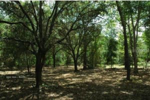 GRANDVILLE AVE, HUDSON, FL 34669 - MLS#MFRA4663403