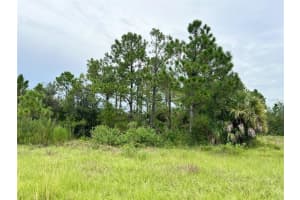 BLACKWOOD CIR, NORTH PORT, FL 34288 - MLS#MFRA4663494