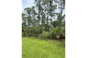 BLACKWOOD CIR, NORTH PORT, FL 34288 - MLS#MFRA4663494
