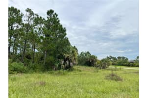 BLACKWOOD CIR, NORTH PORT, FL 34288 - MLS#MFRA4663494