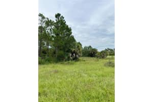 BLACKWOOD CIR, NORTH PORT, FL 34288 - MLS#MFRA4663494
