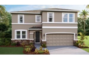 5524 Silver Moonlight Dr, PALMETTO