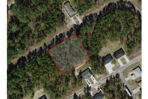 9534 TRAVIS DRIVE, CITRUS SPRINGS, FL 34434 Sold 11/21/25