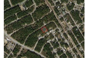 9534 TRAVIS DRIVE, CITRUS SPRINGS, FL 34434 Sold 11/21/25