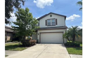 6314 Yellow Buckeye Dr, RIVERVIEW