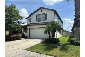 6314 YELLOW BUCKEYE DRIVE, RIVERVIEW, FL 33578 - MLS#MFRA4663652
