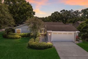 13719 Wilkes Dr, TAMPA