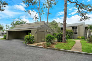 111 Woodland Pl, OSPREY