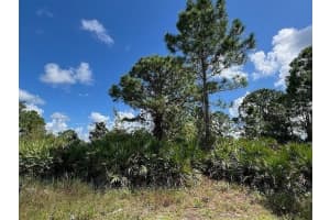 1253 BARNET AVENUE, FORT MYERS, FL 33913 - MLS#MFRA4663943