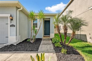 11123 ABACO ISLAND AVENUE, RIVERVIEW, FL 33579 - MLS#MFRA4664048