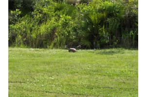 0 HIGHWAY 630 E #165, LAKE WALES, FL 33898 - MLS#MFRA4664158