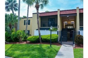 109 S Obrien St #123, TAMPA