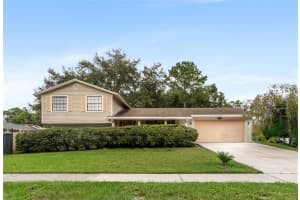 1256 Foggy Ridge Pkwy, LUTZ