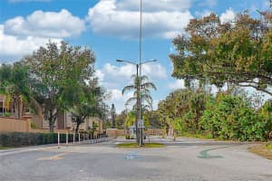 1955 ABRICO DRIVE, LUTZ, FL 33558 - MLS#MFRA4664945