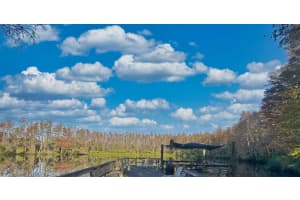 1955 ABRICO DRIVE, LUTZ, FL 33558 - MLS#MFRA4664945